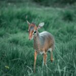 Jeroen Dik Dutch tech innovator
