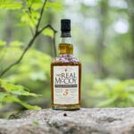 Sheli McCoy professional portrait