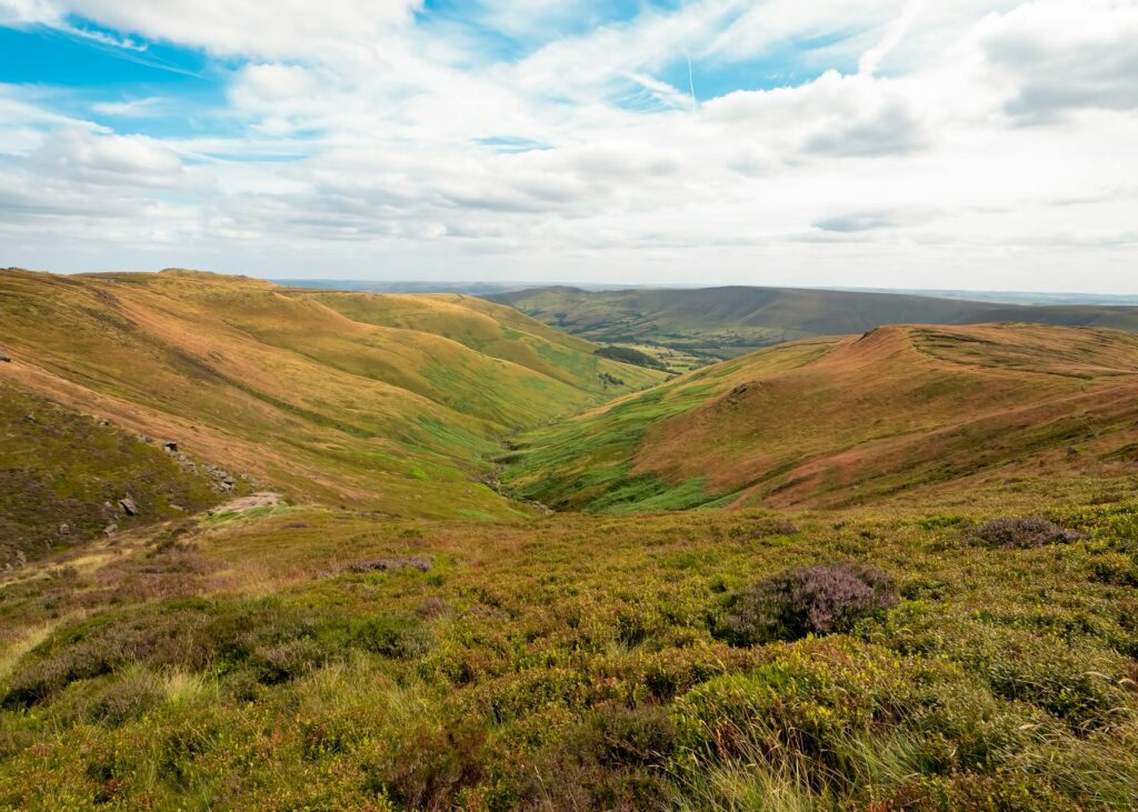 Victoria Derbyshire BBC
