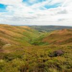 Victoria Derbyshire BBC